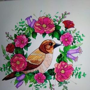 Meet your Posher, Awilda